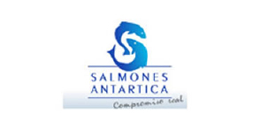 Salmones Antartica